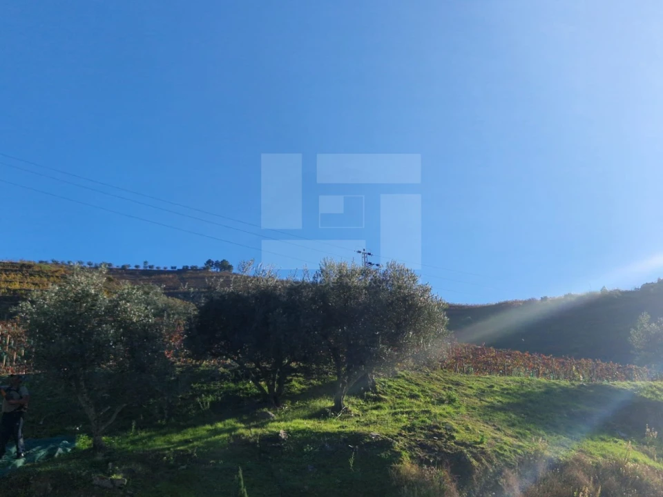 Moradia T2 para Venda em Ervedosa do Douro Foto 20