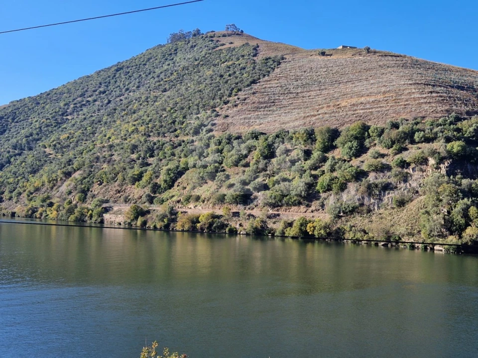 Moradia T2 para Venda em Ervedosa do Douro Foto 21