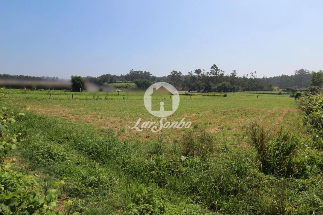 Terreno Agricola ou Rústico para Venda em Fradelos Foto 2