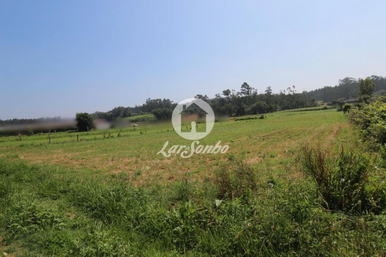 Terreno Agricola ou Rústico para Venda em Fradelos Foto 1