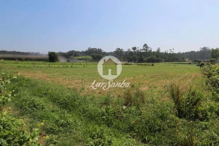 Terreno Agricola ou Rústico para Venda em Fradelos Foto 2