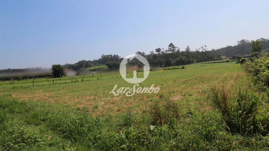 Terreno Agricola ou Rústico para Venda em Fradelos
