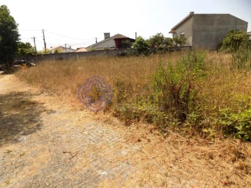 Terreno para Venda em Anta e Guetim