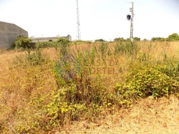 Terreno para Venda em Anta e Guetim