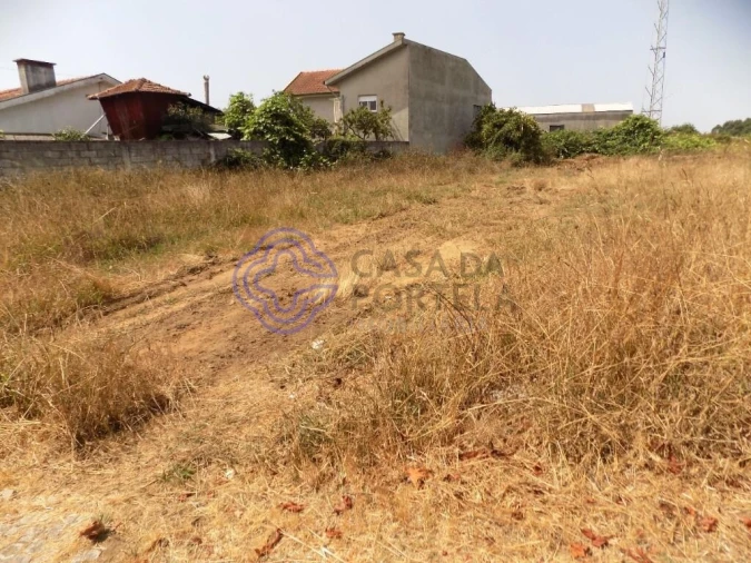 Terreno para Venda em Anta e Guetim Foto 4