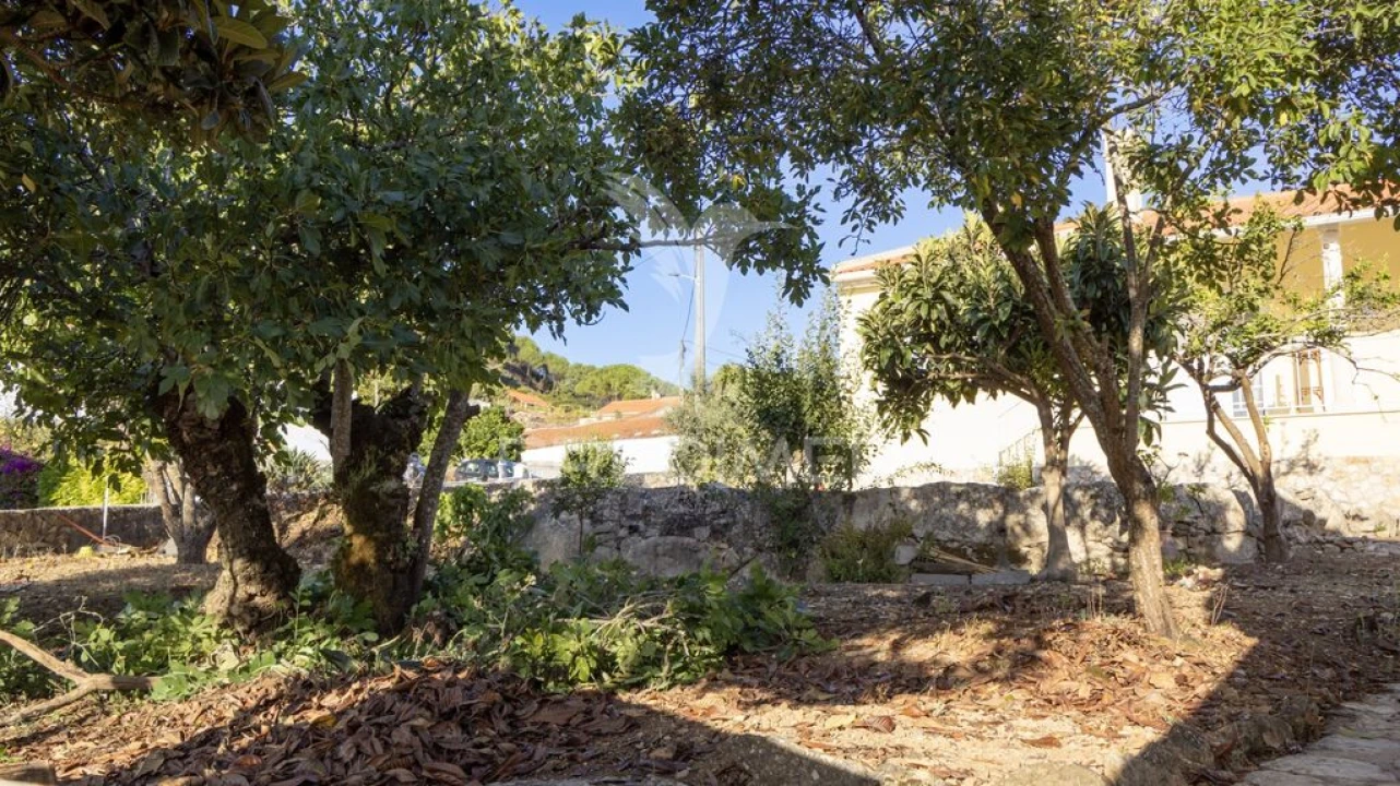 Moradia T2 para Venda em Alcobaça e Vestiaria Foto 4