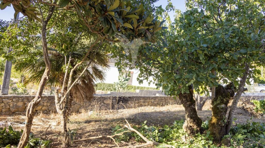 Moradia T2 para Venda em Alcobaça e Vestiaria Foto 6