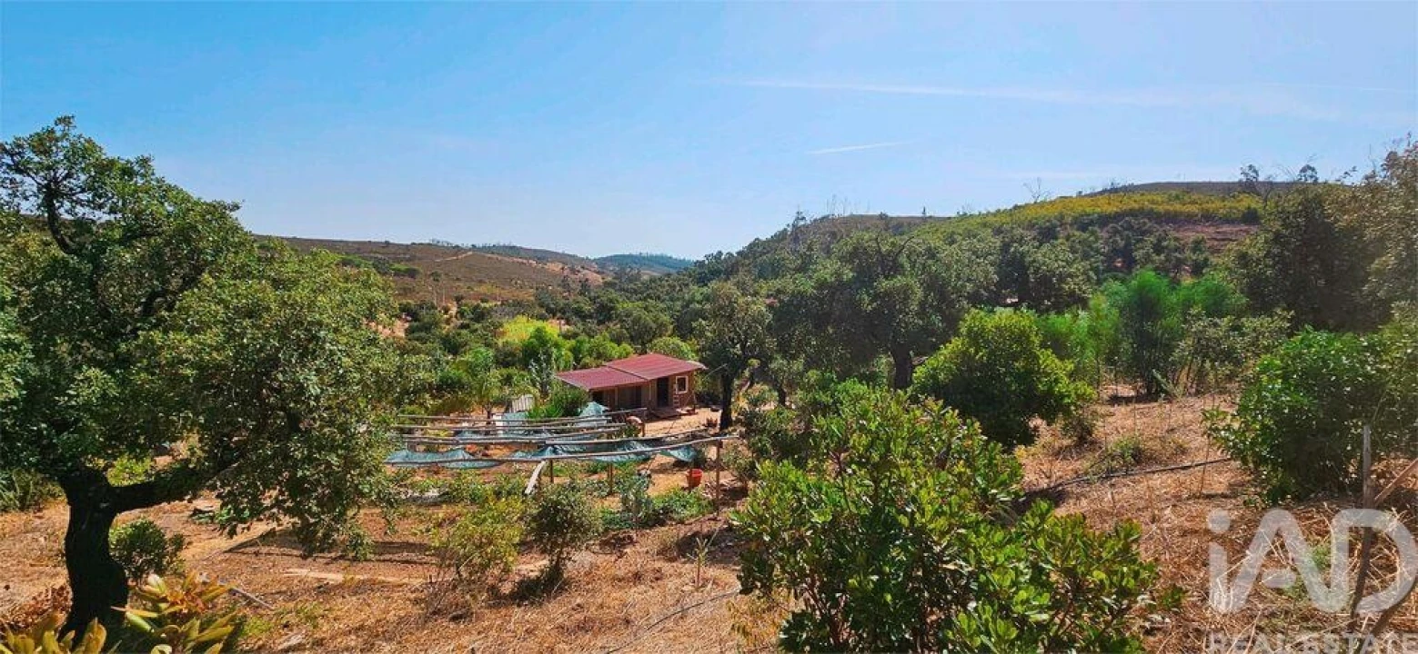 Terreno para Venda em Barão de São Miguel Foto 16