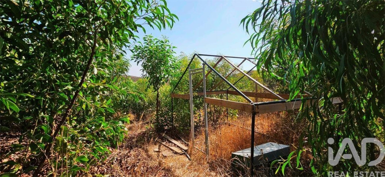 Terreno para Venda em Barão de São Miguel Foto 18