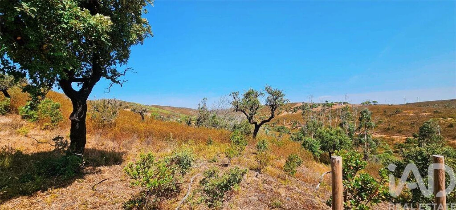 Terreno para Venda em Barão de São Miguel Foto 27