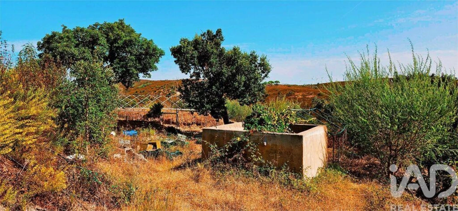 Terreno para Venda em Barão de São Miguel Foto 17