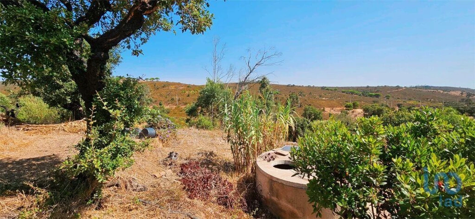 Terreno para Venda em Barão de São Miguel Foto 11