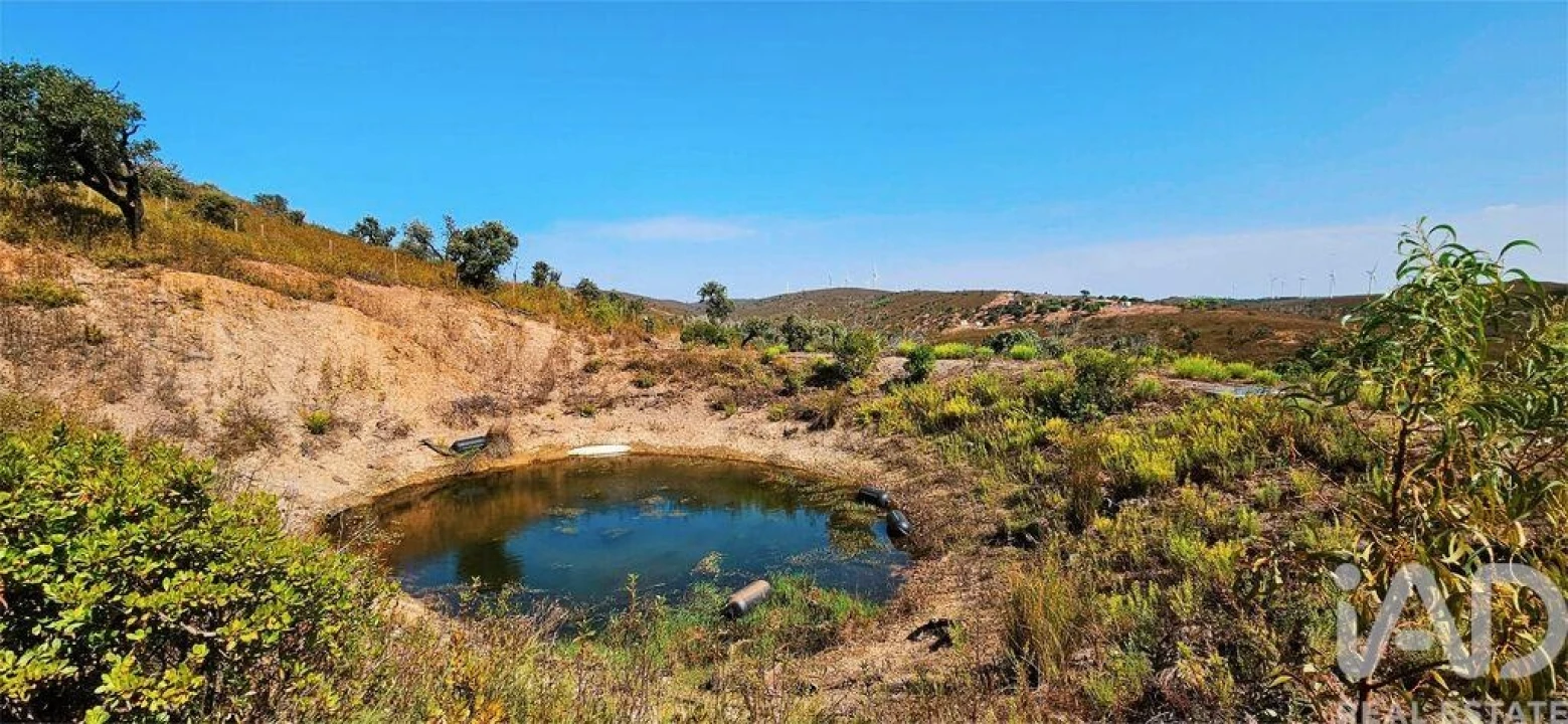 Terreno para Venda em Barão de São Miguel Foto 19