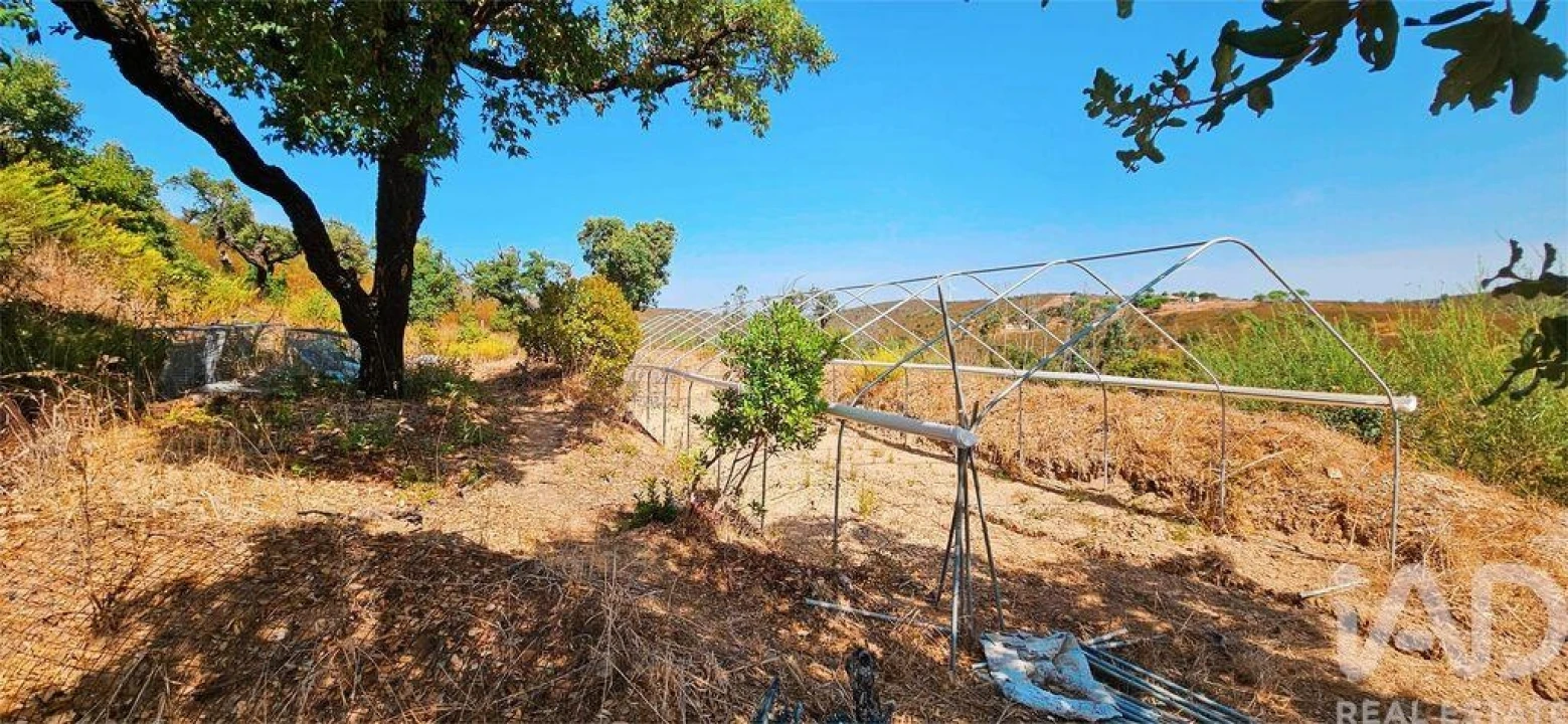 Terreno para Venda em Barão de São Miguel Foto 23