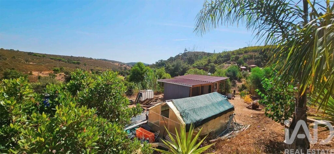 Terreno para Venda em Barão de São Miguel Foto 26