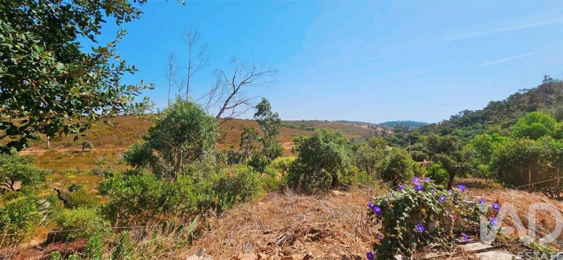 Terreno para Venda em Barão de São Miguel Foto 24