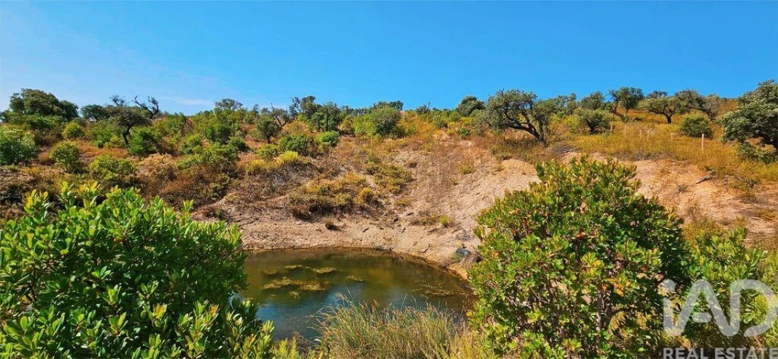 Terreno para Venda em Barão de São Miguel Foto 22