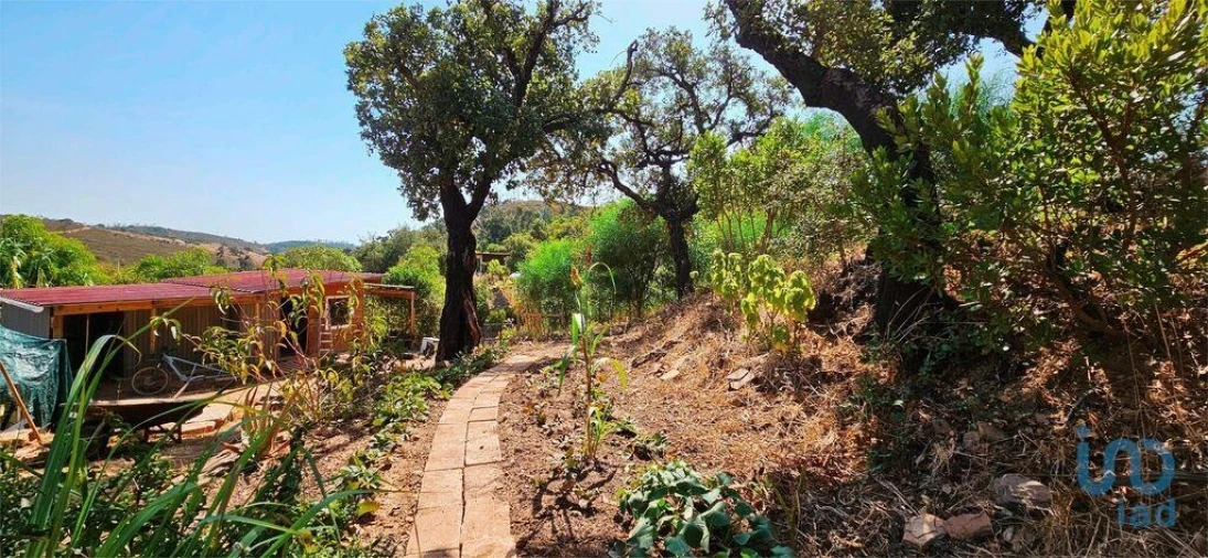 Terreno para Venda em Barão de São Miguel