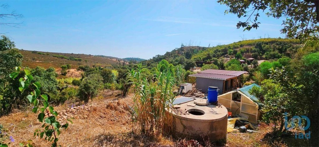 Terreno para Venda em Barão de São Miguel Foto 10