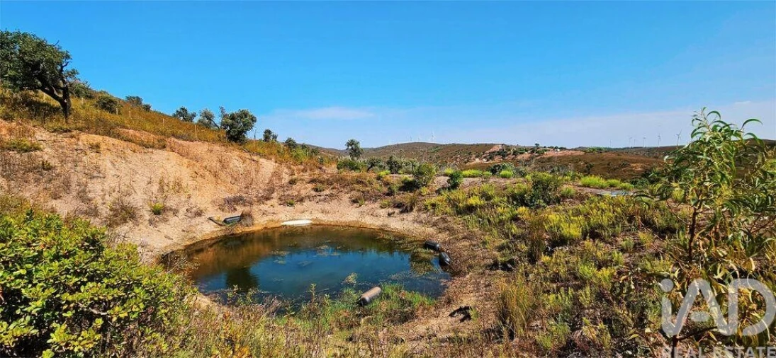 Terreno para Venda em Barão de São Miguel Foto 19