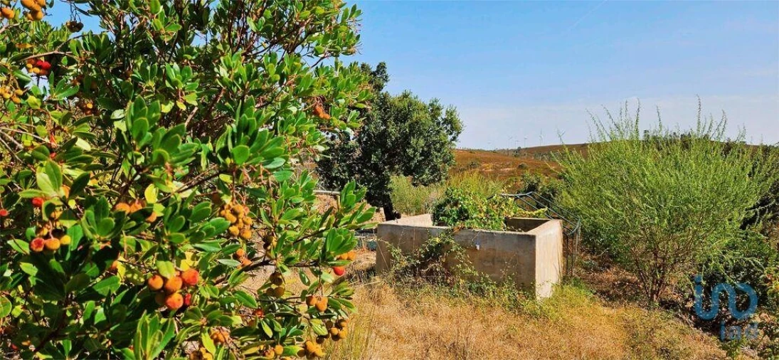 Terreno para Venda em Barão de São Miguel Foto 7