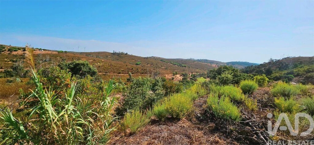 Terreno para Venda em Barão de São Miguel Foto 21