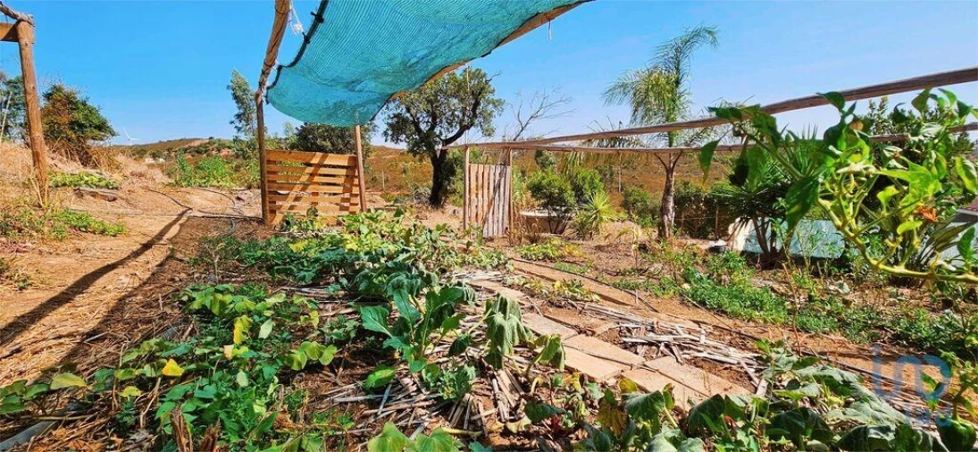 Terreno para Venda em Barão de São Miguel Foto 13