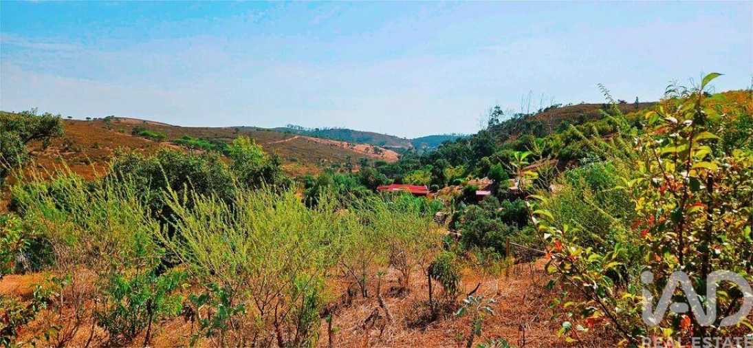 Terreno para Venda em Barão de São Miguel Foto 28