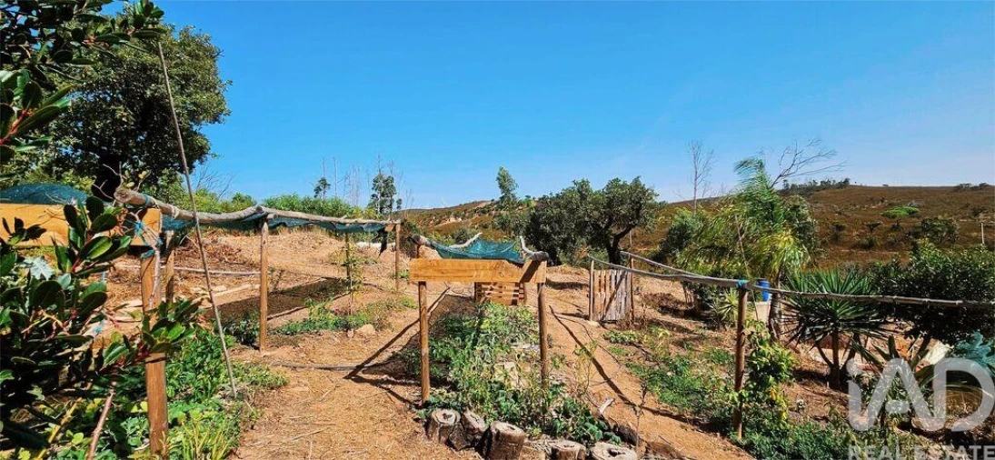 Terreno para Venda em Barão de São Miguel Foto 15