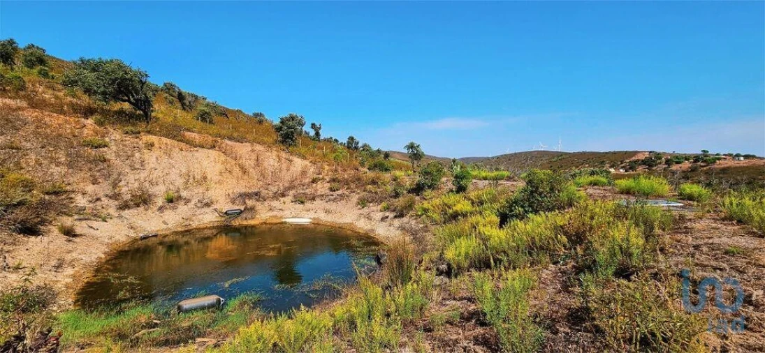 Terreno para Venda em Barão de São Miguel Foto 5