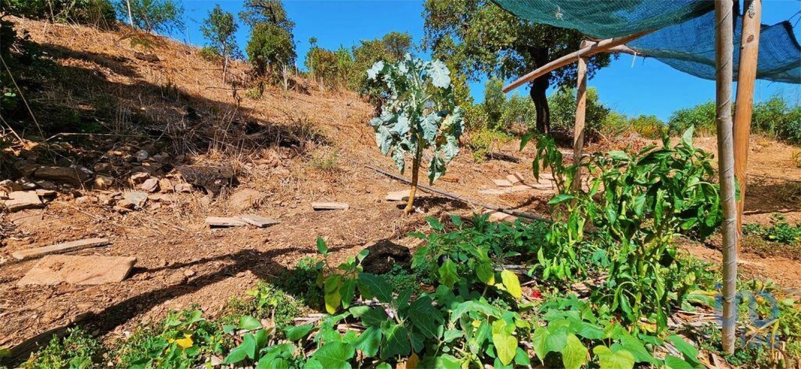 Terreno para Venda em Barão de São Miguel Foto 14