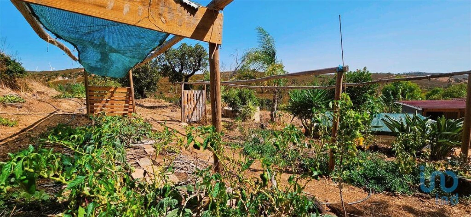 Terreno para Venda em Barão de São Miguel Foto 3