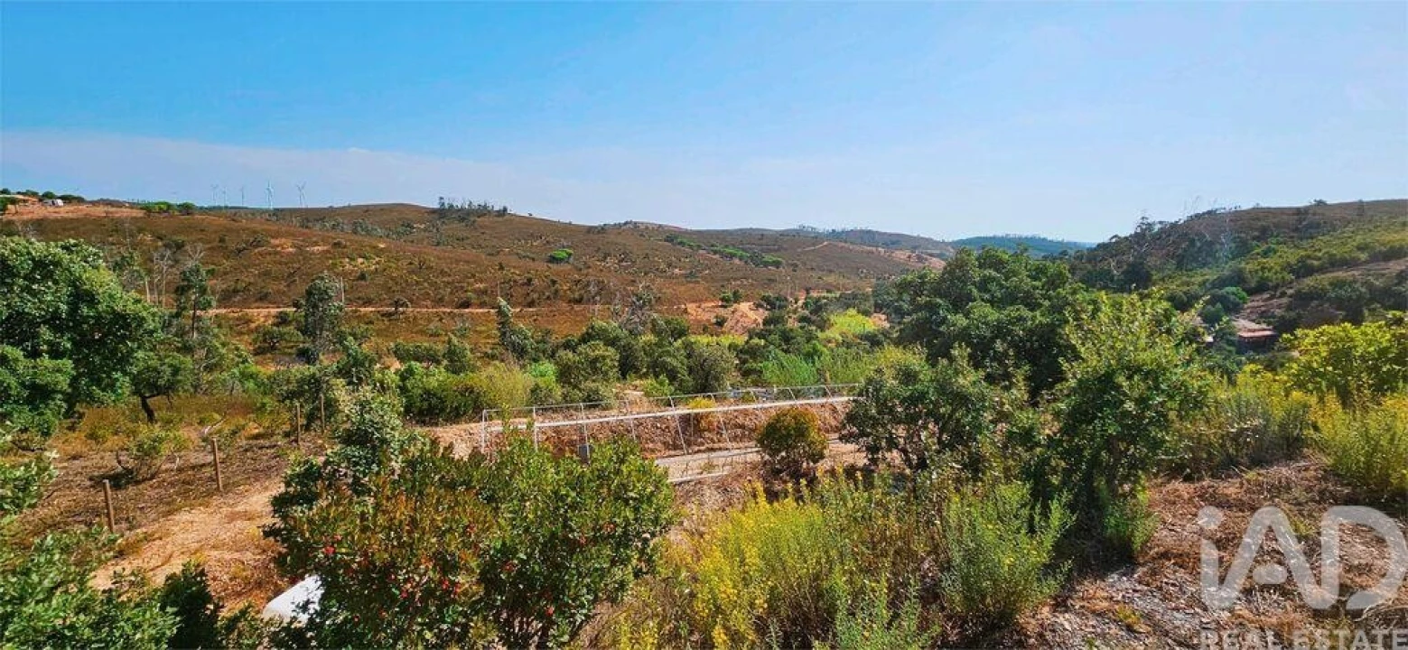 Terreno para Venda em Barão de São Miguel Foto 20