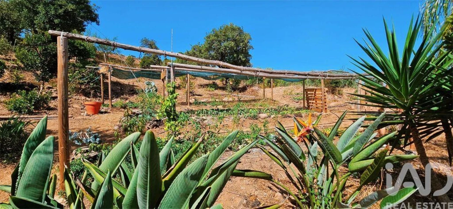 Terreno para Venda em Barão de São Miguel Foto 25