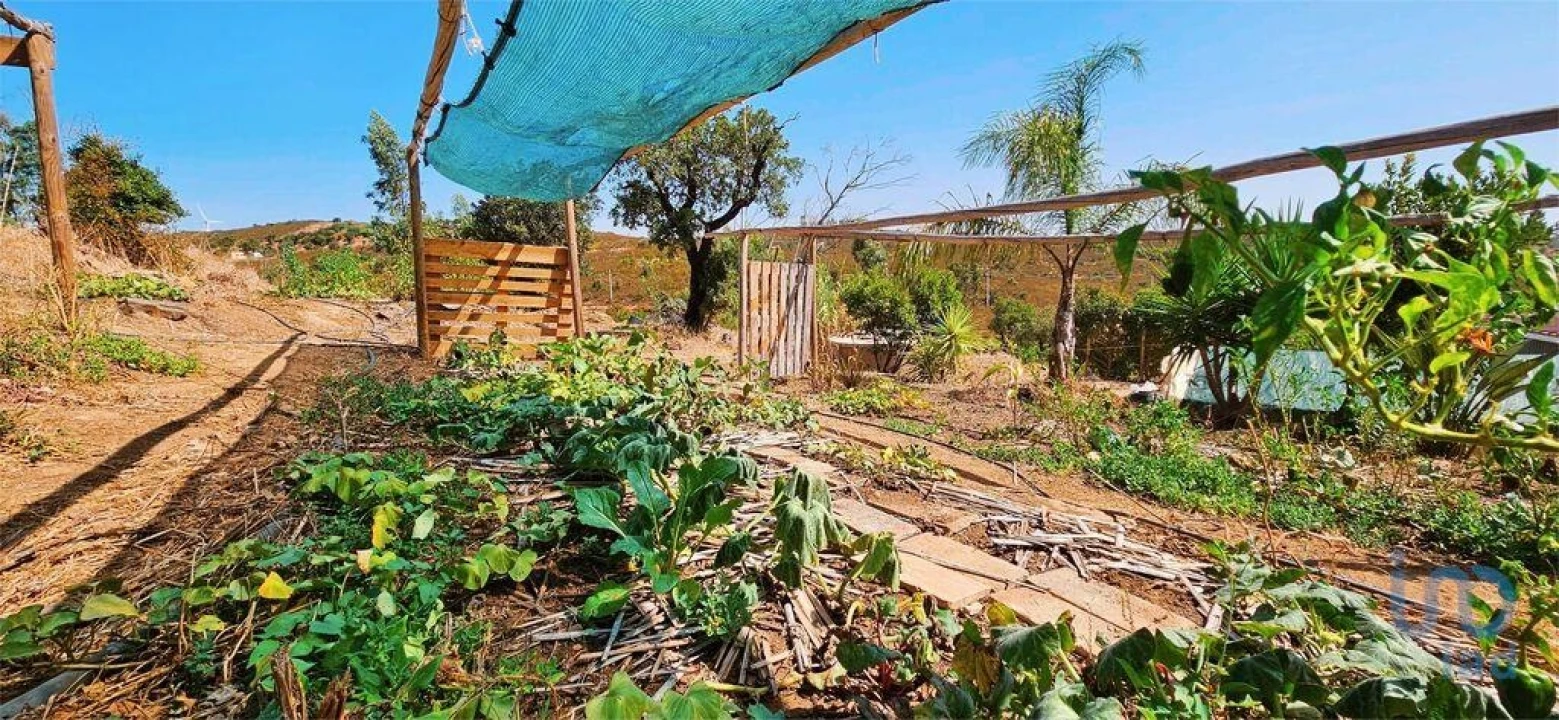Terreno para Venda em Barão de São Miguel Foto 13