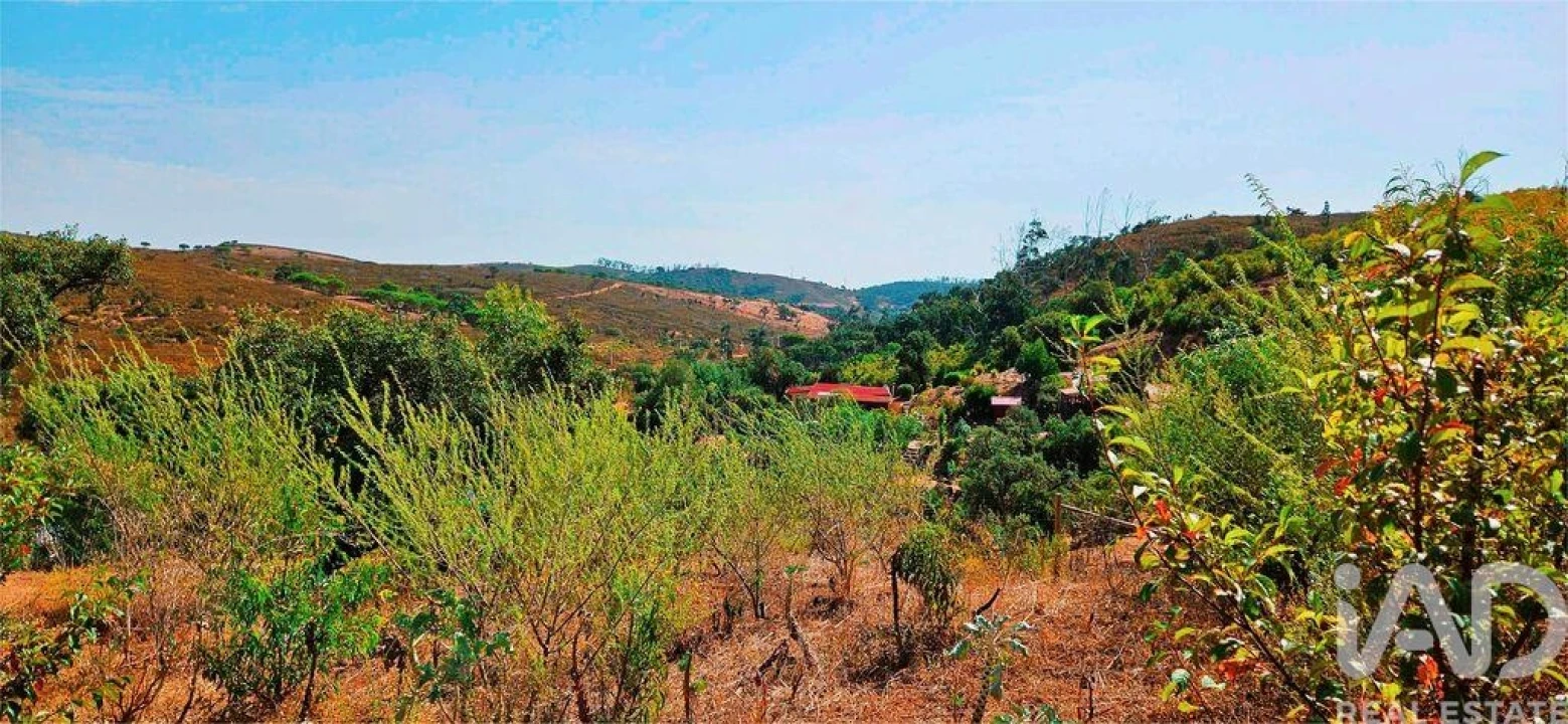 Terreno para Venda em Barão de São Miguel Foto 28
