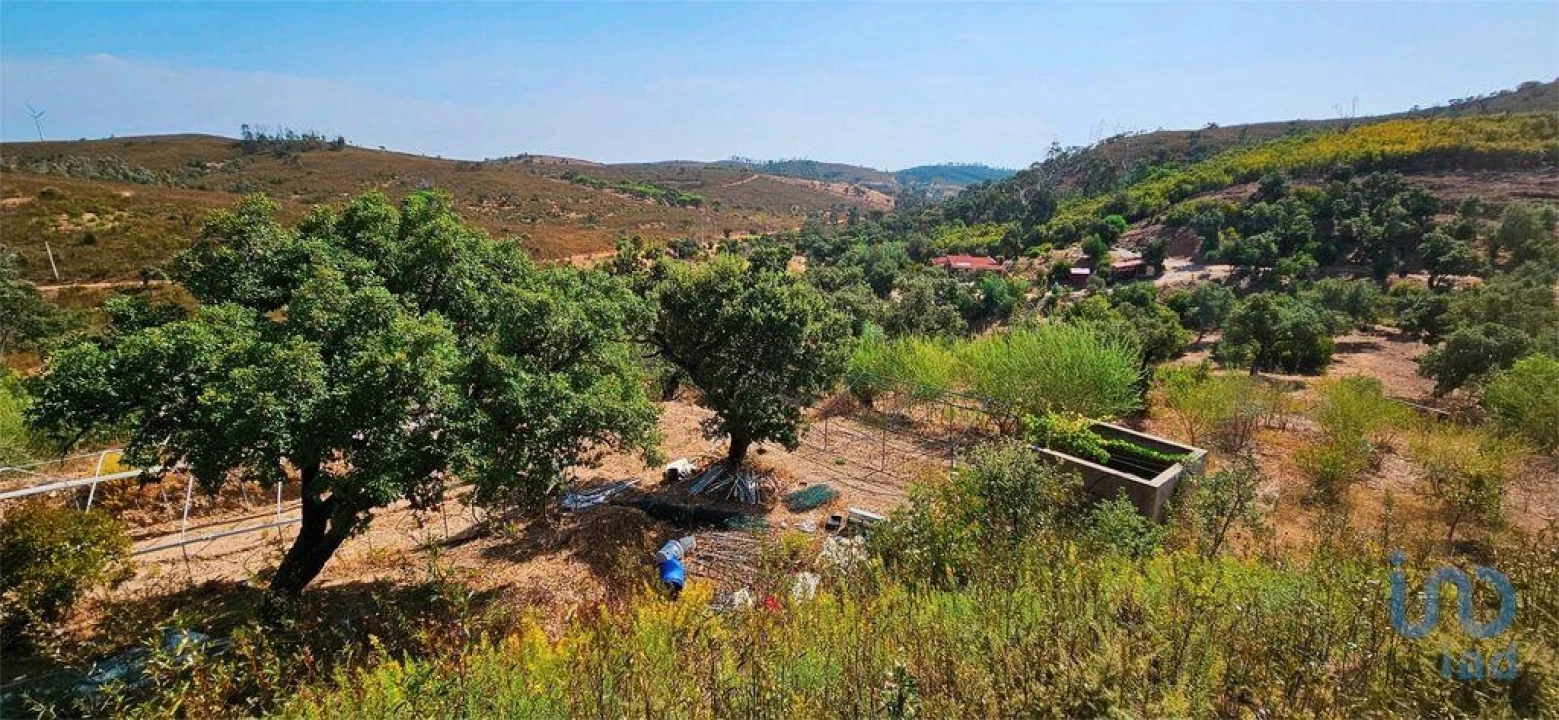 Terreno para Venda em Barão de São Miguel Foto 6
