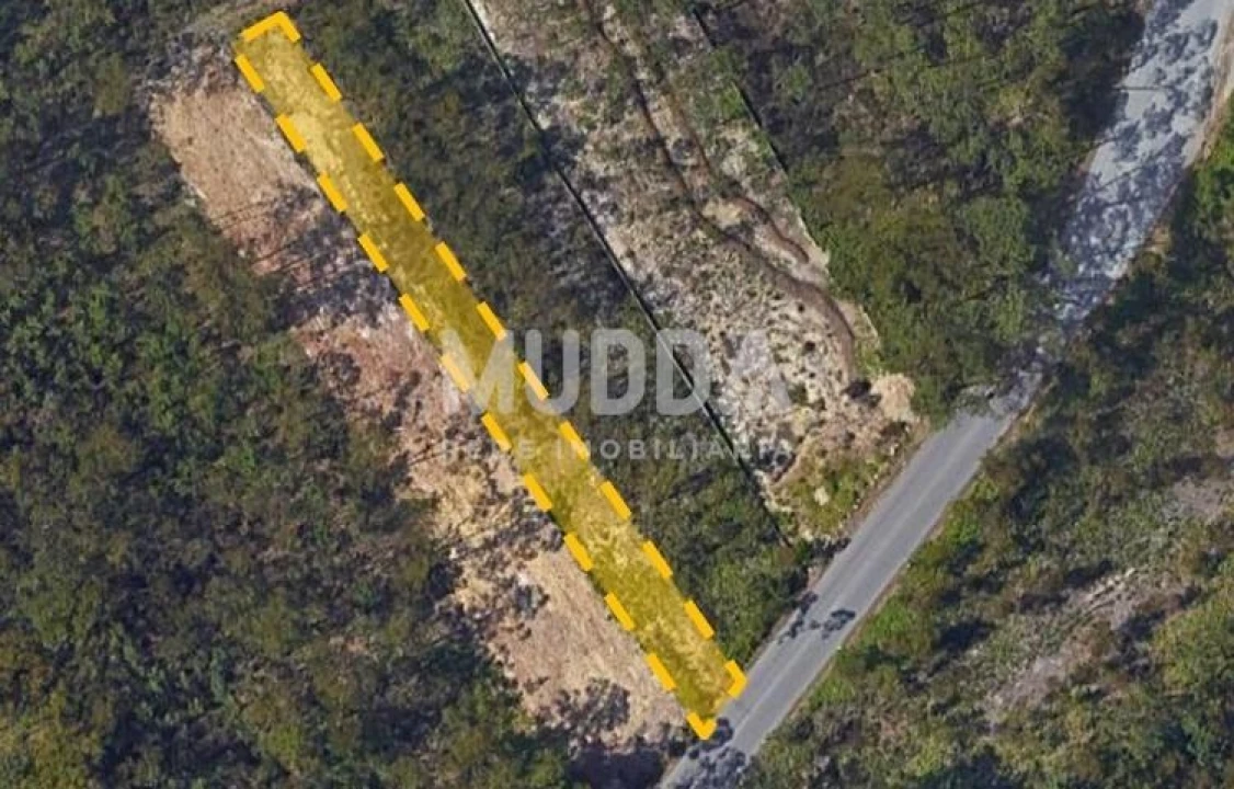 Terreno para Venda em Ovar, São João, Arada e São Vicente de Pereira Jusã Foto 1