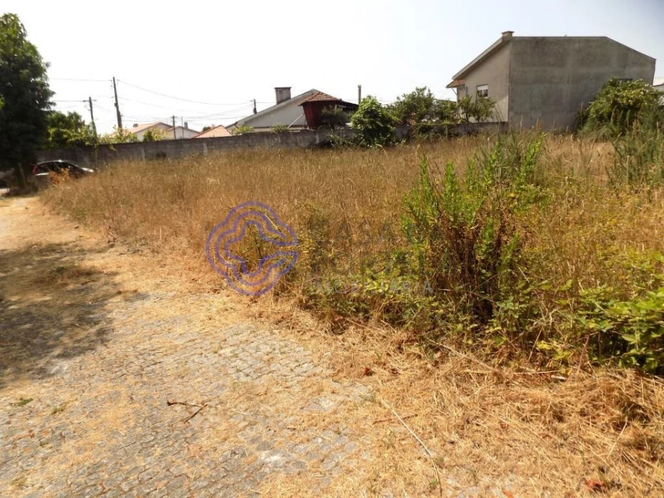 Terreno para Venda em Anta e Guetim Foto 4