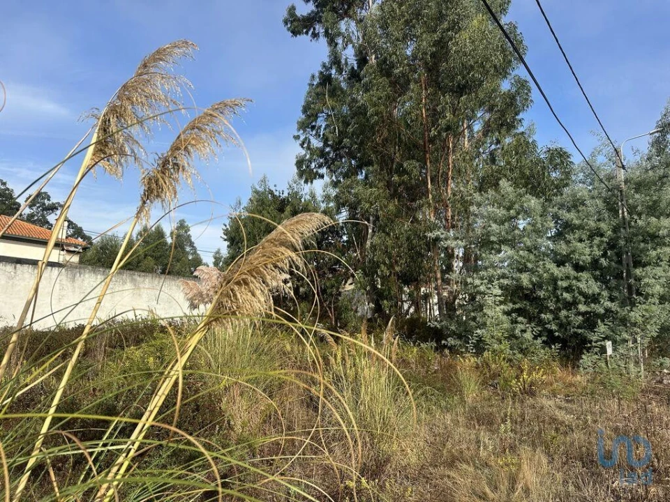 Terreno para Venda em Glória e Vera Cruz Foto 2