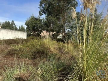 Terreno para Venda em Glória e Vera Cruz