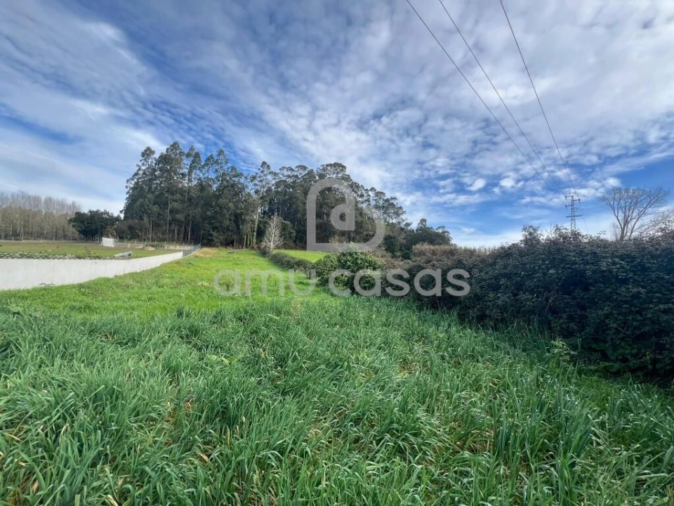 Terreno para Venda em Salreu Foto 7