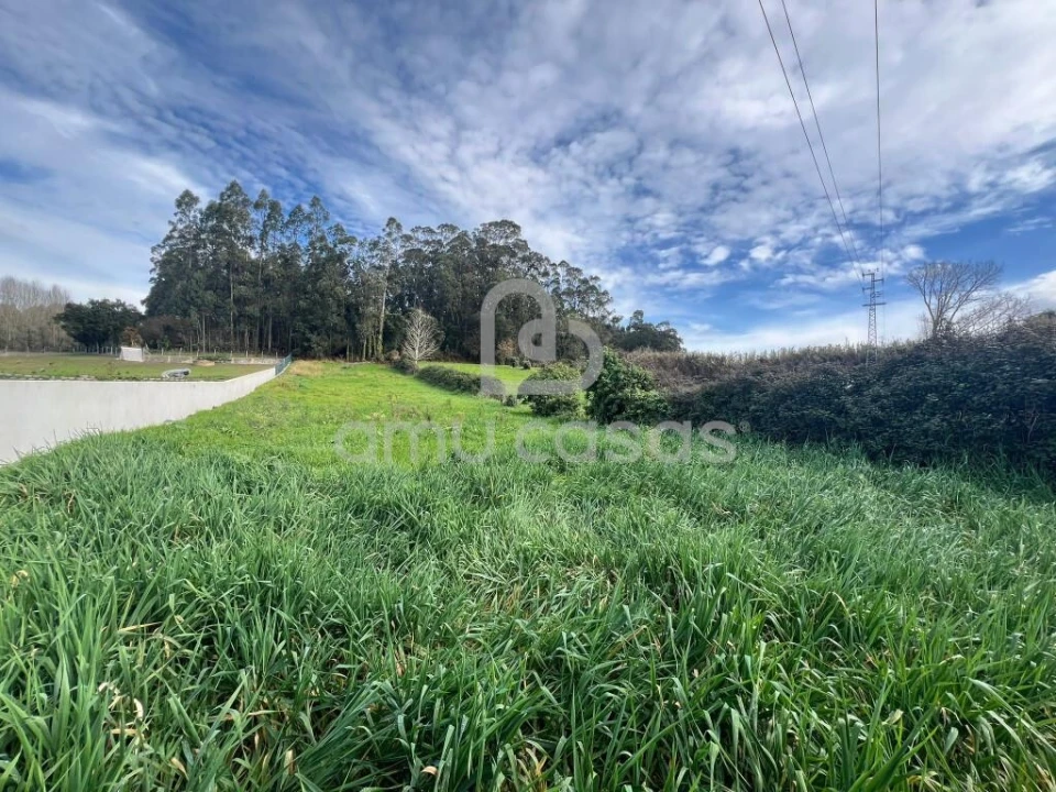 Terreno para Venda em Salreu Foto 6