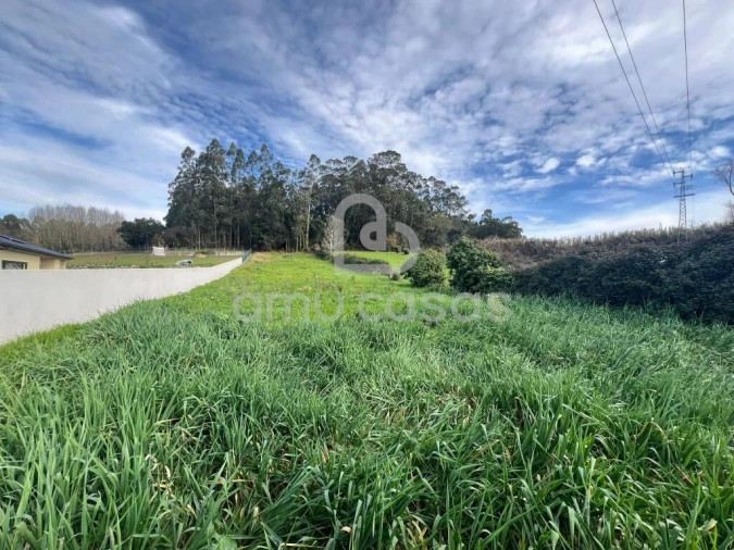 Terreno para Venda em Salreu Foto 4
