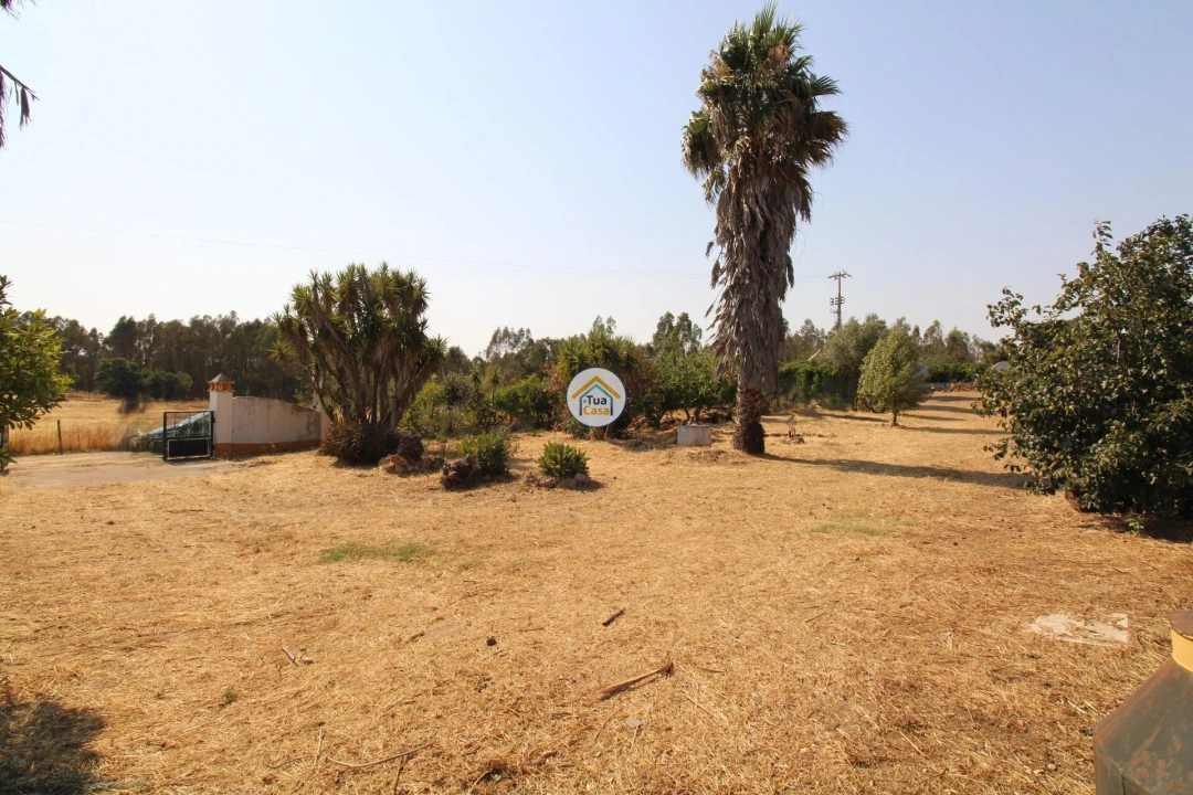 Quinta T2 para Venda em Foros de Vale de Figueira Foto 23