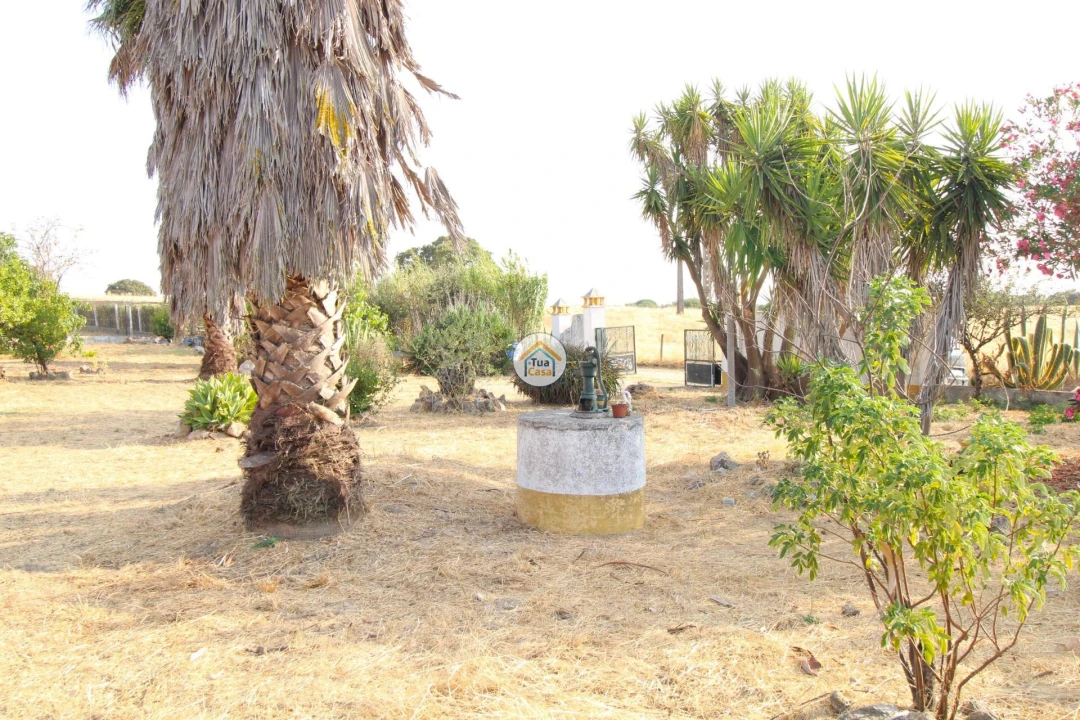 Quinta T2 para Venda em Foros de Vale de Figueira Foto 41