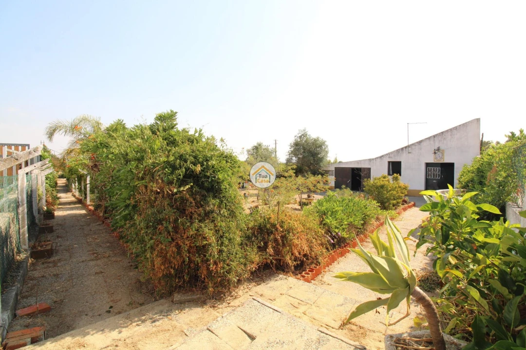 Quinta T2 para Venda em Foros de Vale de Figueira Foto 39