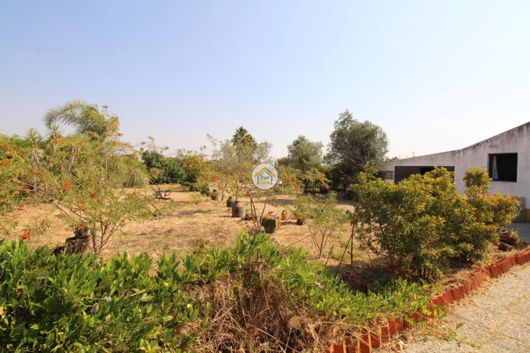 Quinta T2 para Venda em Foros de Vale de Figueira Foto 20