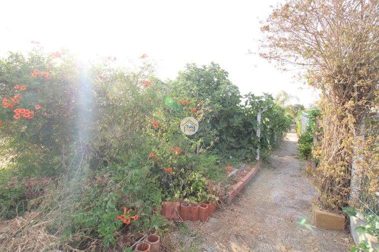 Quinta T2 para Venda em Foros de Vale de Figueira Foto 26