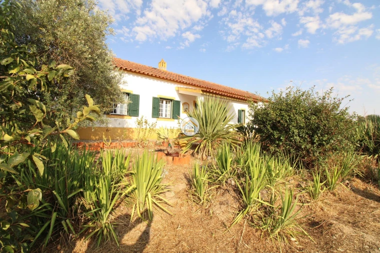 Quinta T2 para Venda em Foros de Vale de Figueira Foto 6